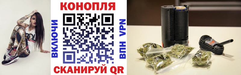 Конопля сатива Сасово